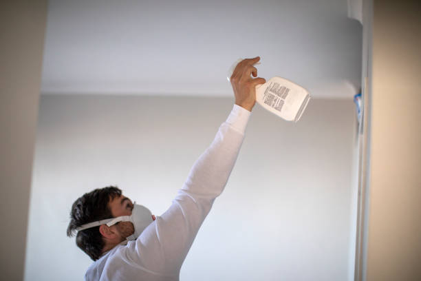 Bethlehem, WV Mold Remediation Company